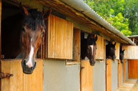 free Bekesbourne Hill stable construction quotes